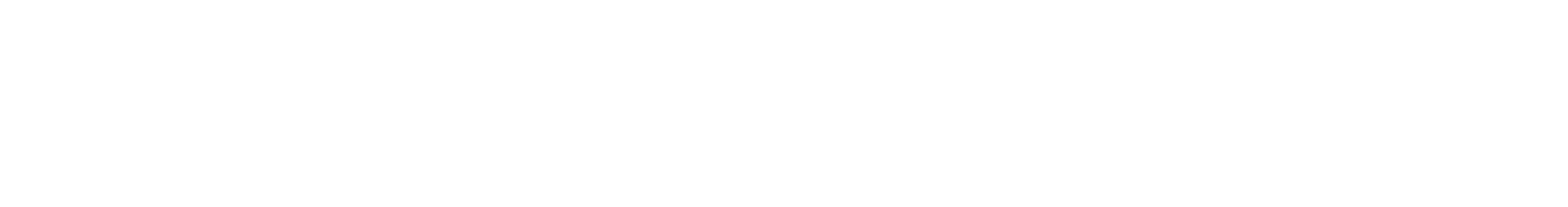 MegaMixer